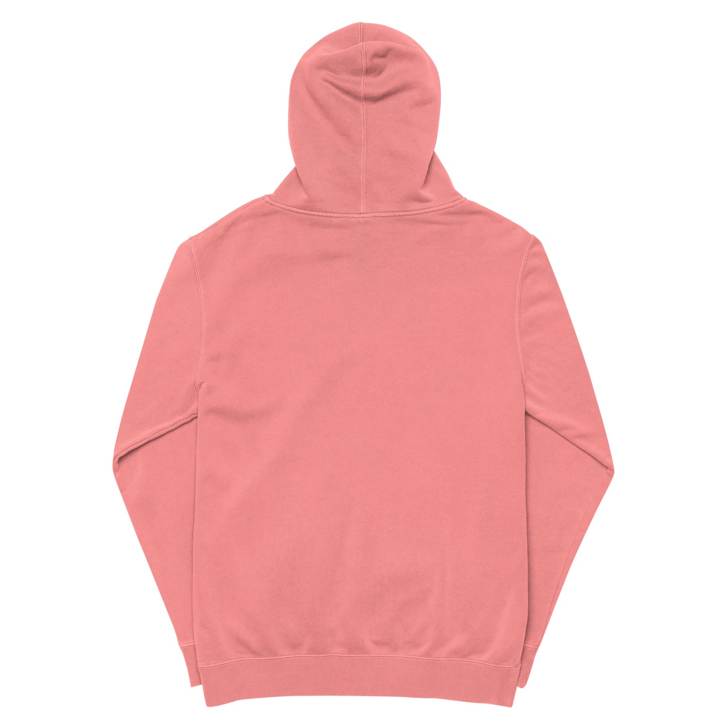 Heavily Meditated Unisex pigment dyed hoodie